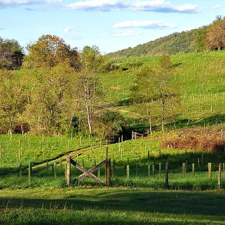 Walnut Run Farm Villa Woodville Exterior photo