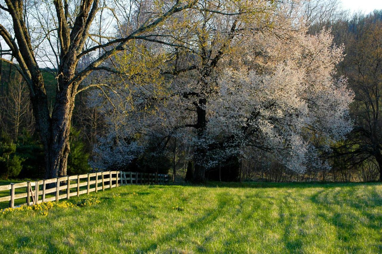 Walnut Run Farm Villa Woodville Exterior photo